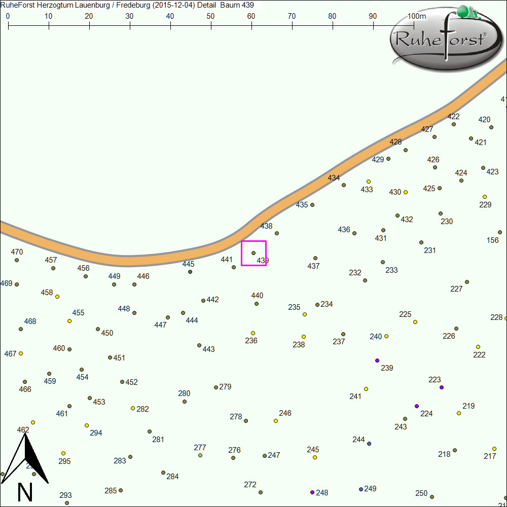 Detailkarte zu Baum 439