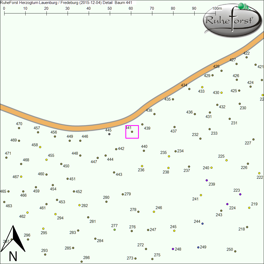 Detailkarte zu Baum 441