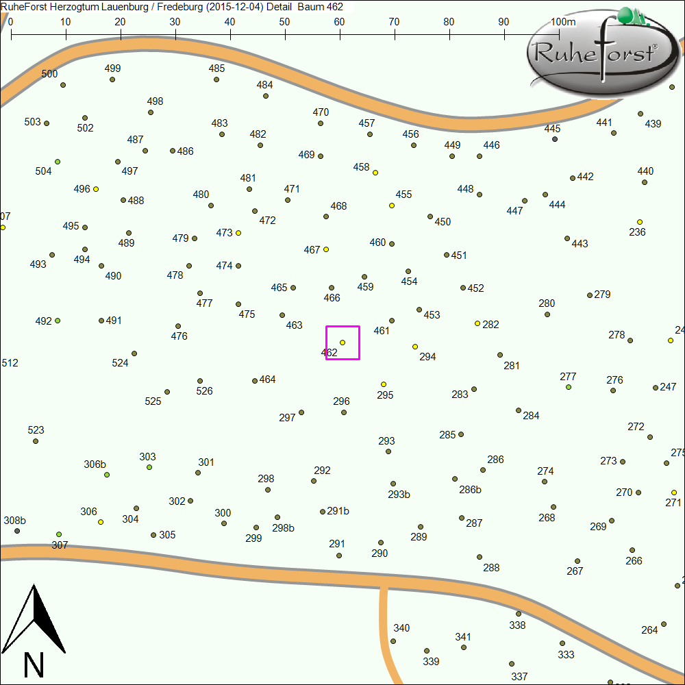 Detailkarte zu Baum 462