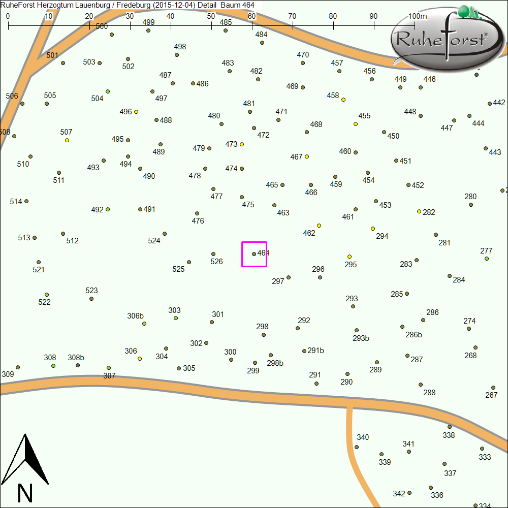 Detailkarte zu Baum 464