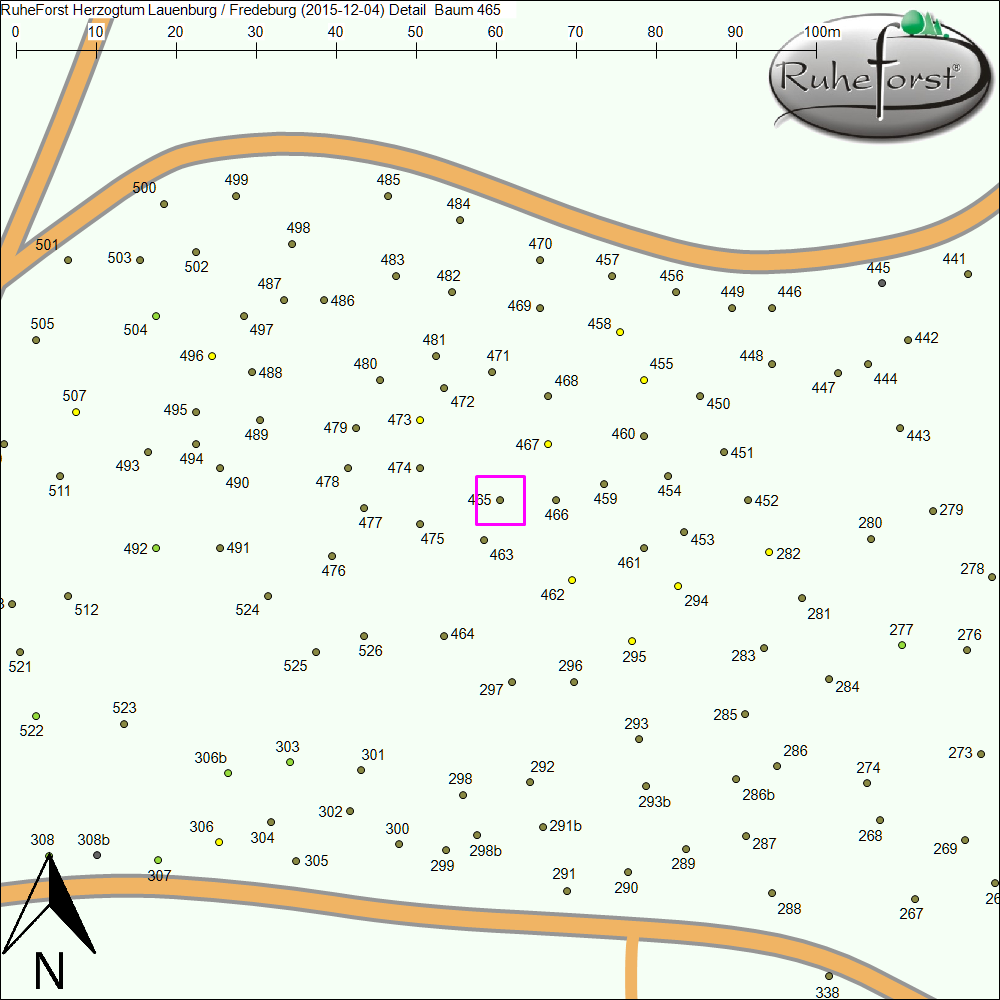 Detailkarte zu Baum 465