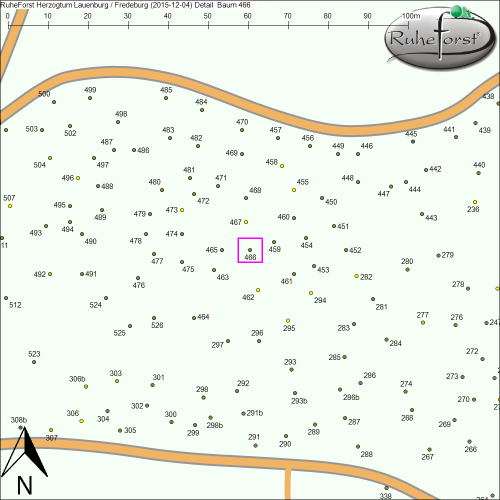 Detailkarte zu Baum 466