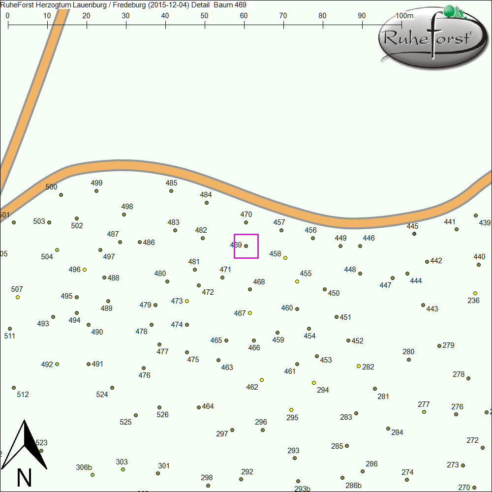 Detailkarte zu Baum 469