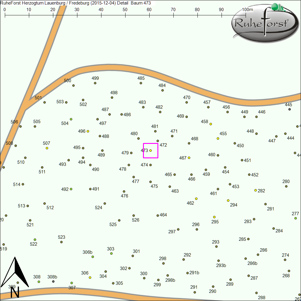 Detailkarte zu Baum 473