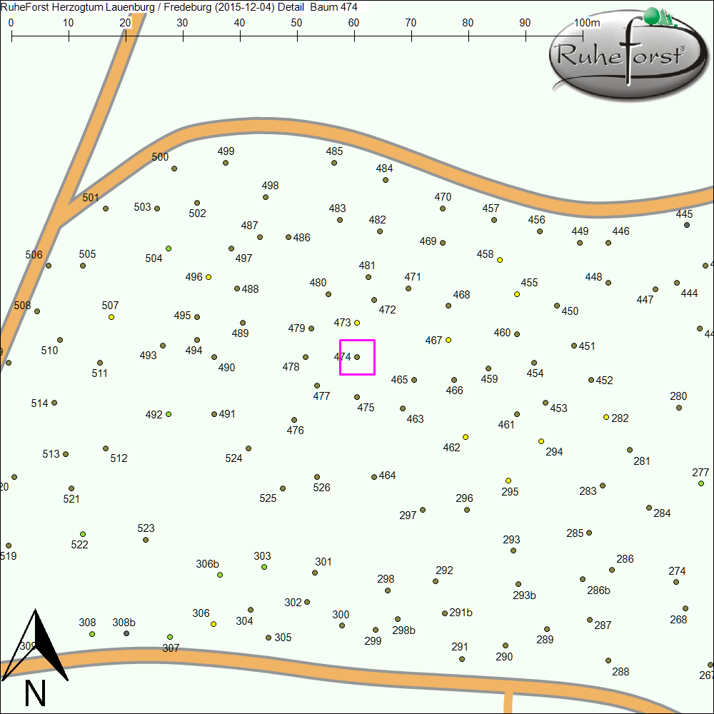 Detailkarte zu Baum 474