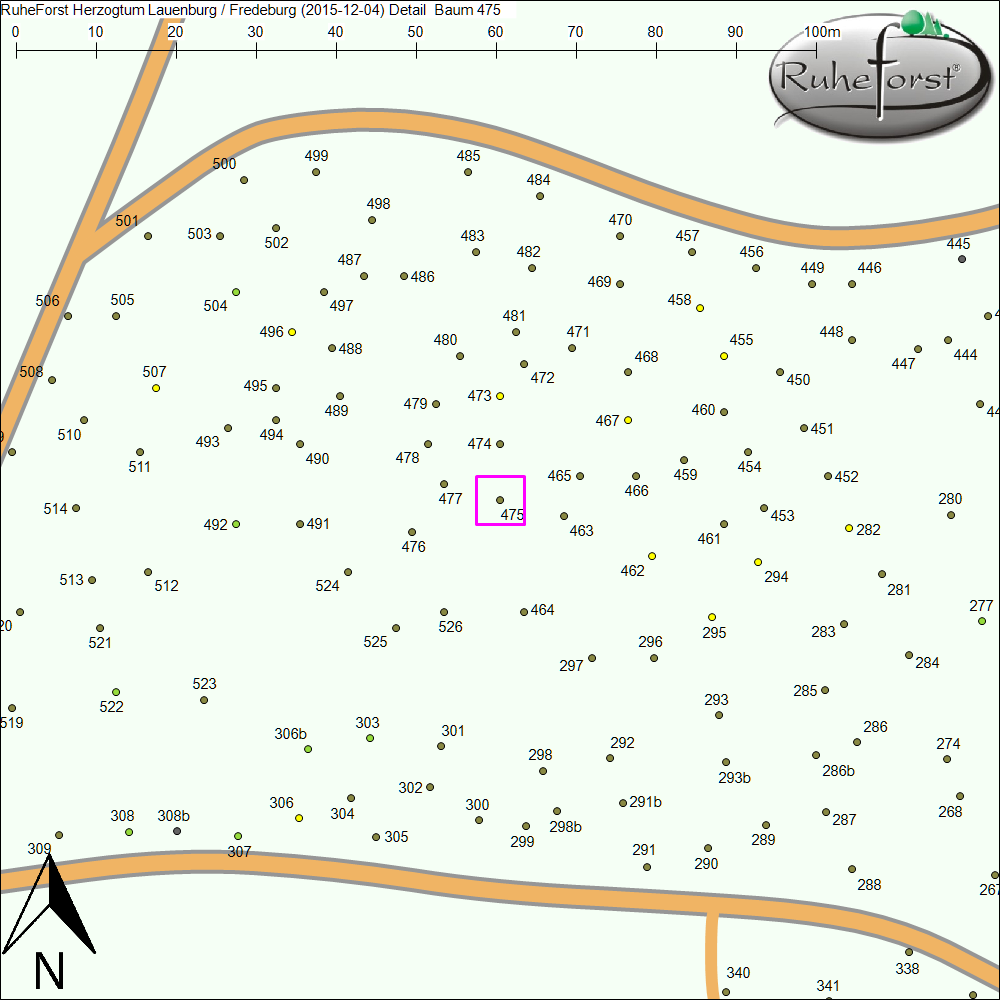 Detailkarte zu Baum 475