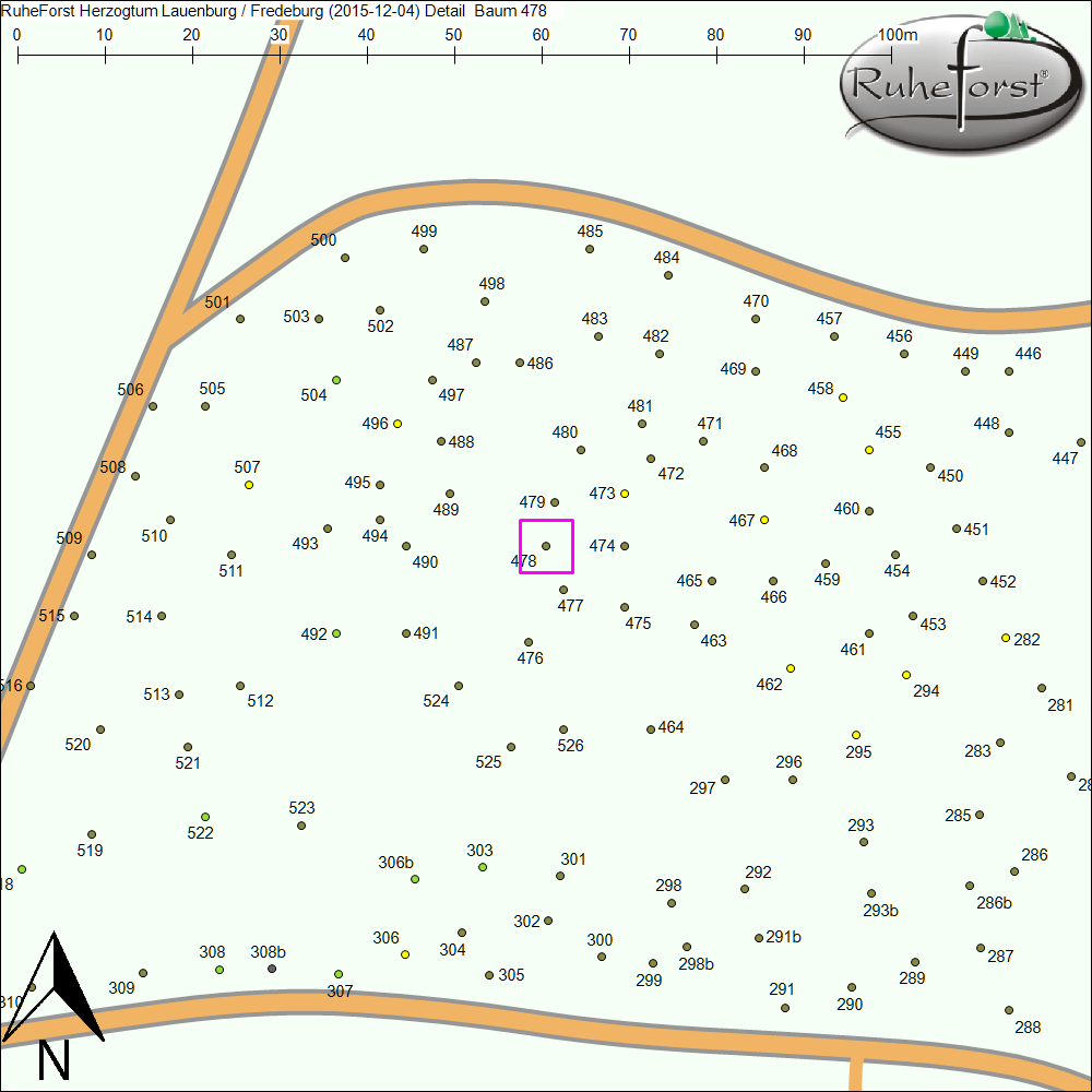 Detailkarte zu Baum 478