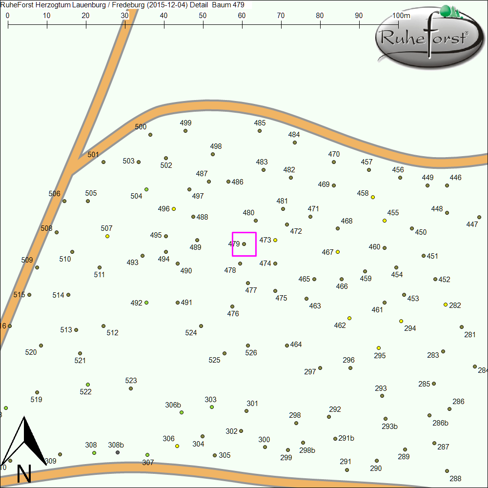 Detailkarte zu Baum 479