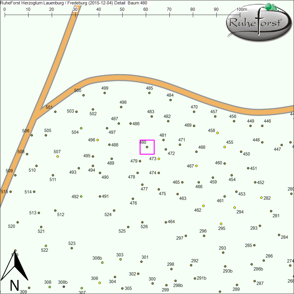Detailkarte zu Baum 480
