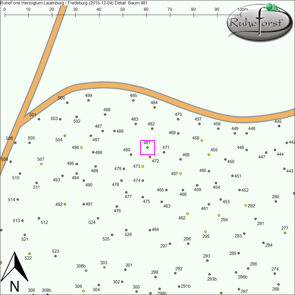 Detailkarte zu Baum 481