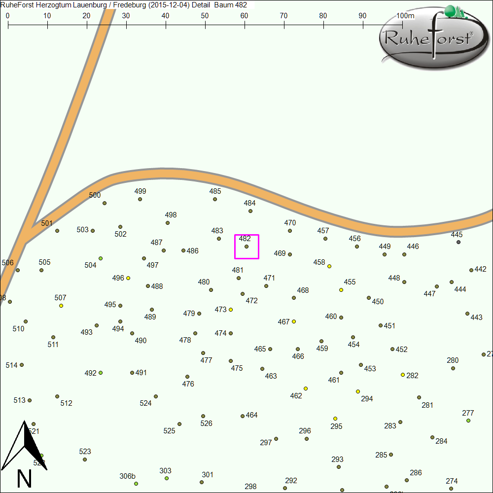 Detailkarte zu Baum 482