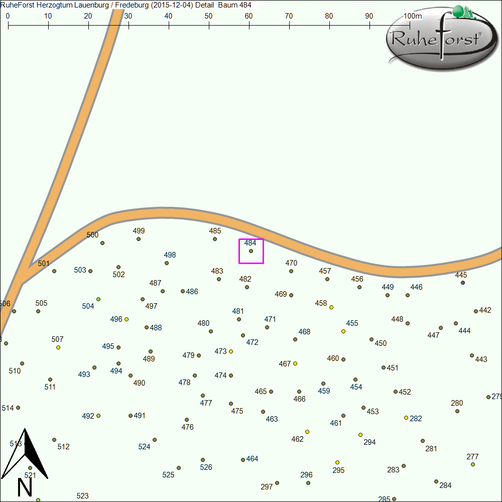 Detailkarte zu Baum 484