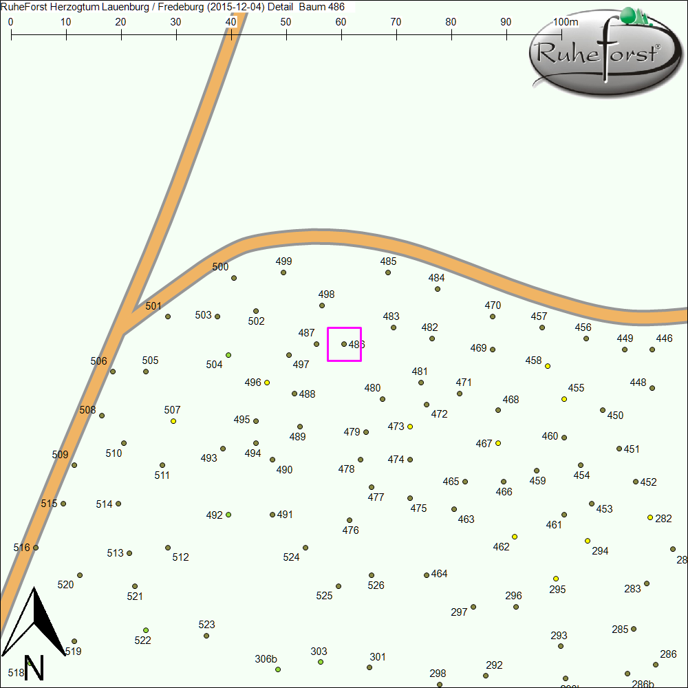 Detailkarte zu Baum 486