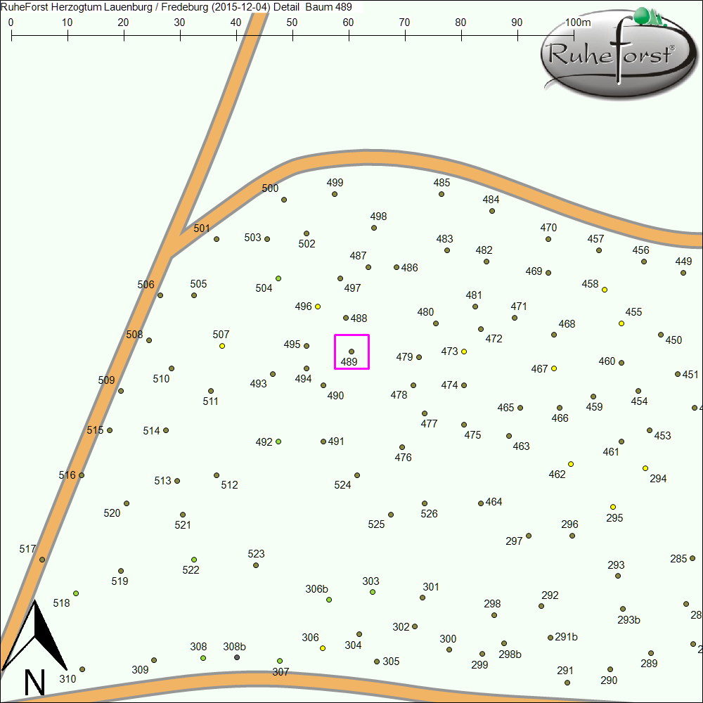 Detailkarte zu Baum 489