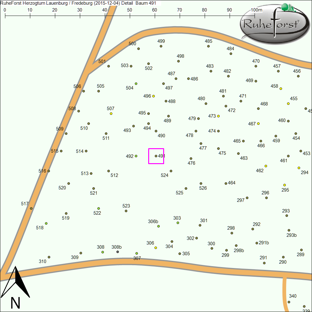 Detailkarte zu Baum 491