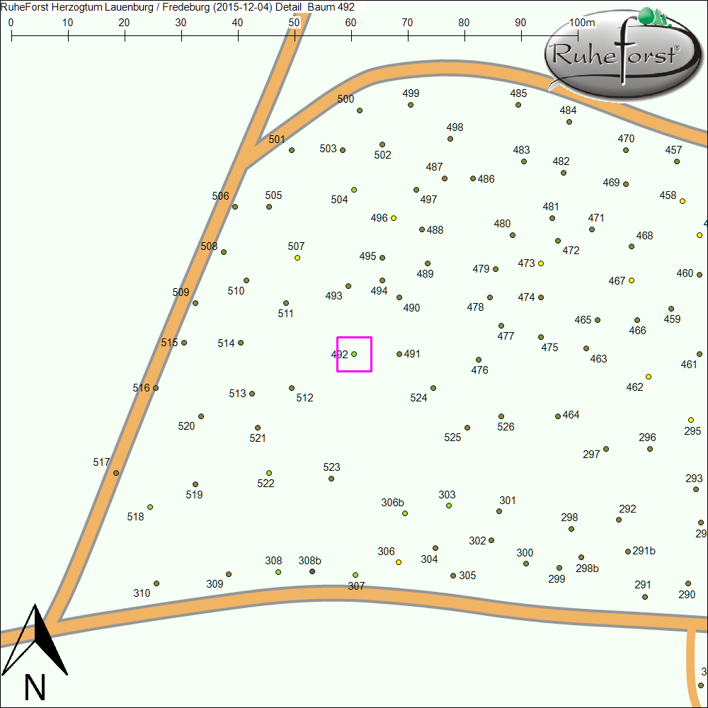 Detailkarte zu Baum 492