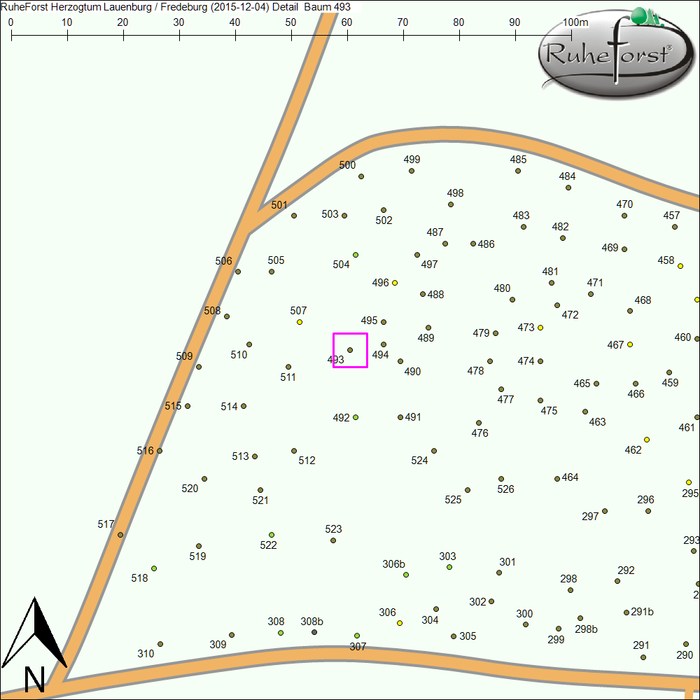 Detailkarte zu Baum 493
