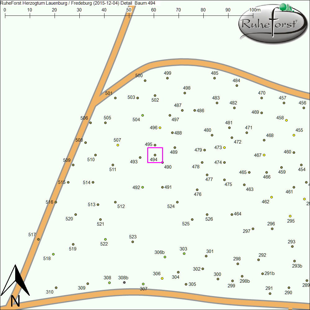 Detailkarte zu Baum 494