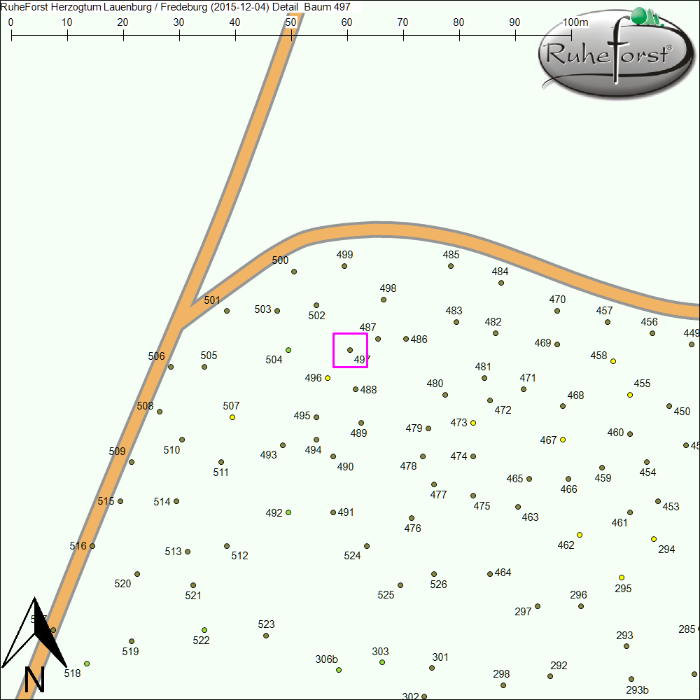Detailkarte zu Baum 497