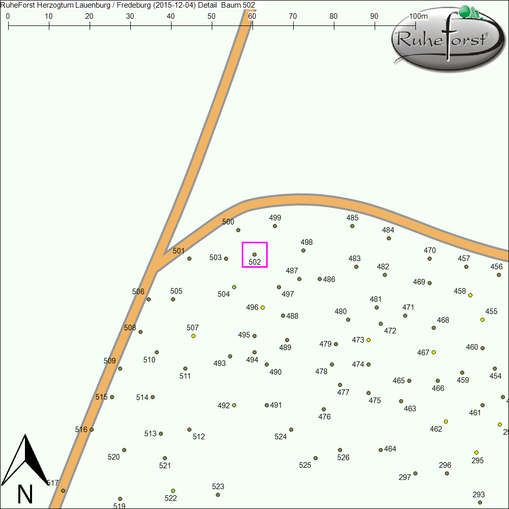 Detailkarte zu Baum 502