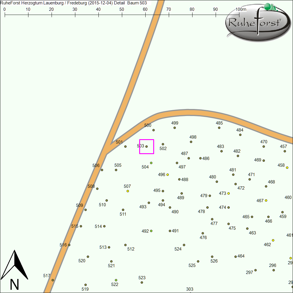 Detailkarte zu Baum 503