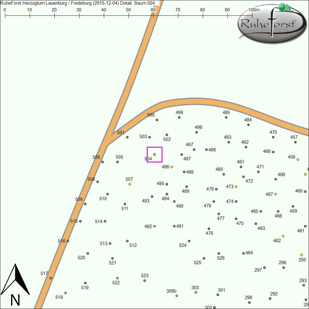 Detailkarte zu Baum 504