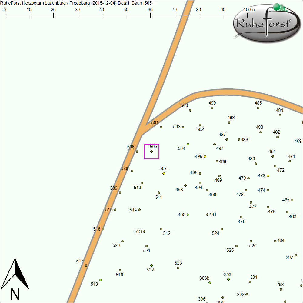 Detailkarte zu Baum 505