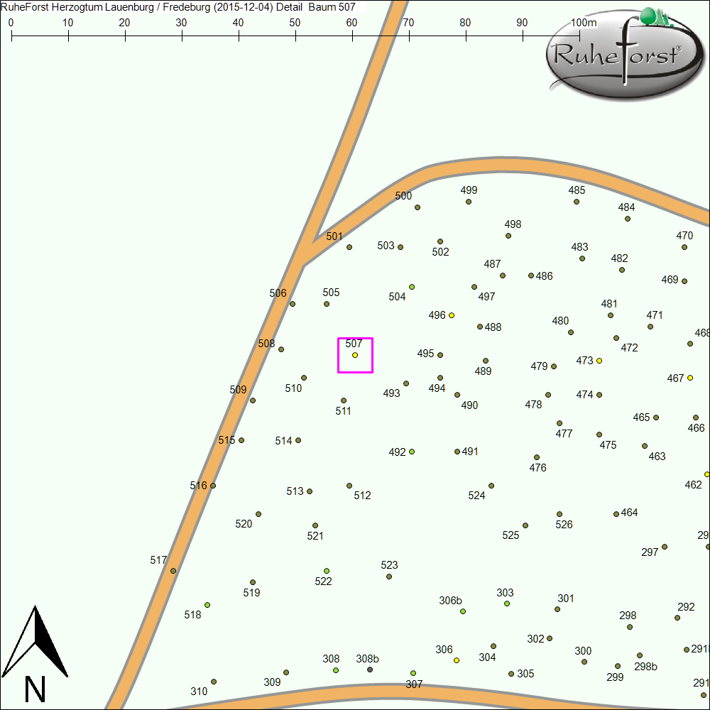 Detailkarte zu Baum 507