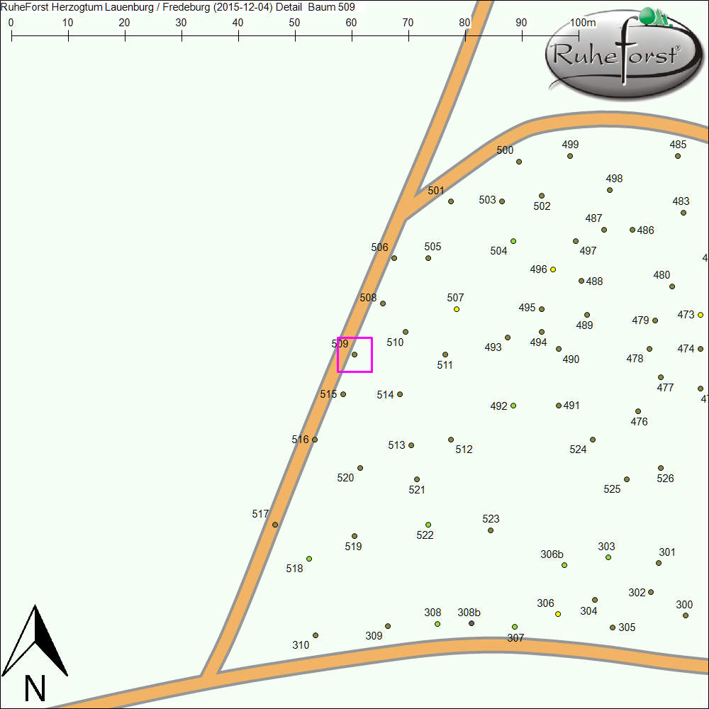 Detailkarte zu Baum 509