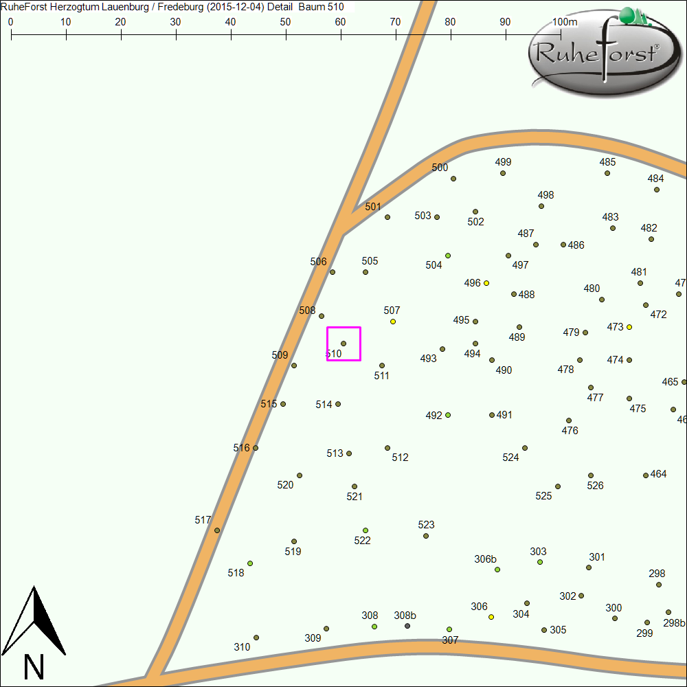 Detailkarte zu Baum 510