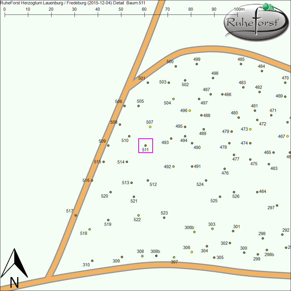 Detailkarte zu Baum 511