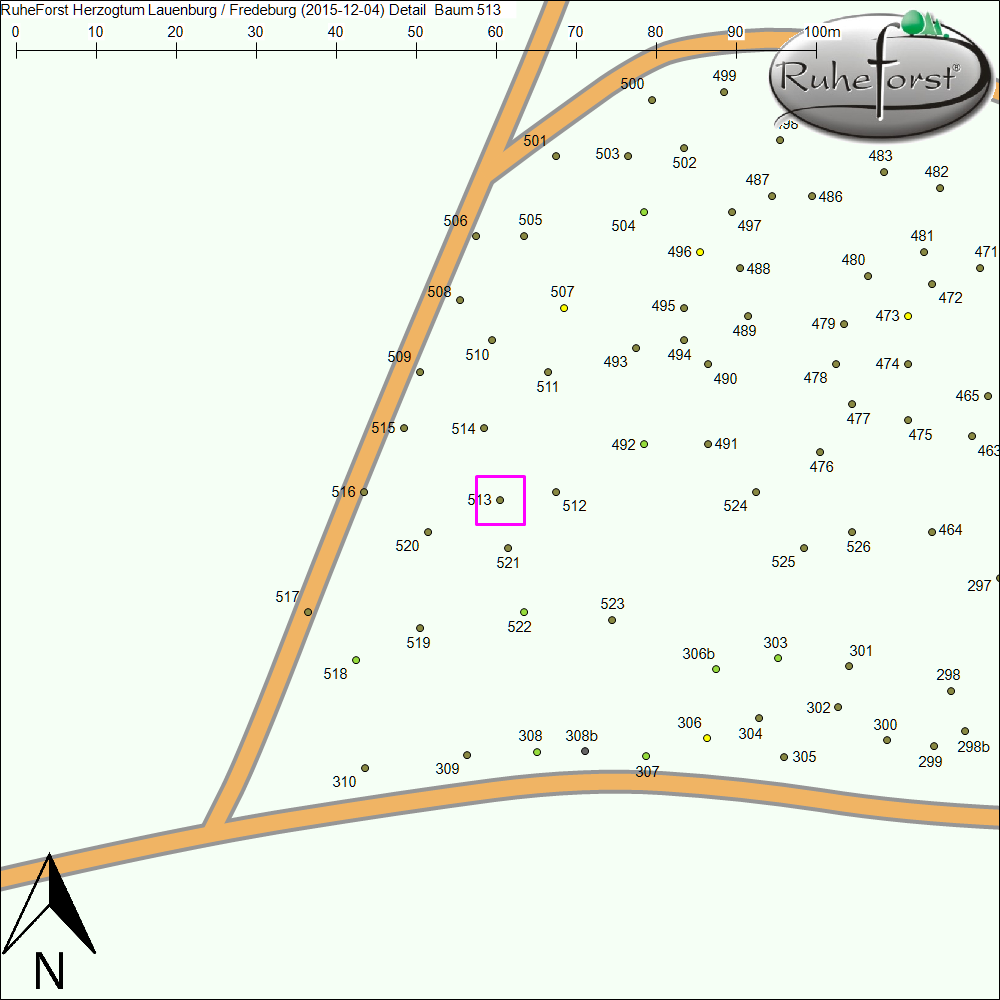 Detailkarte zu Baum 513