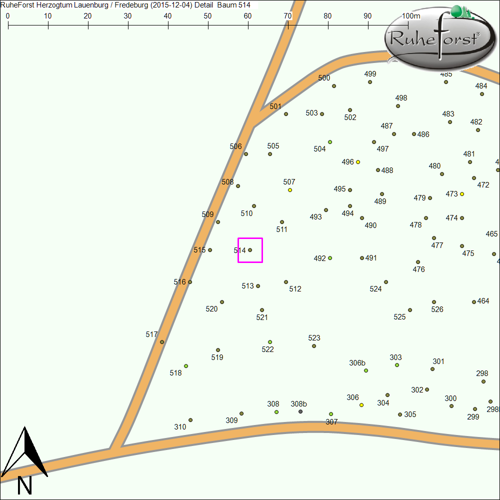 Detailkarte zu Baum 514