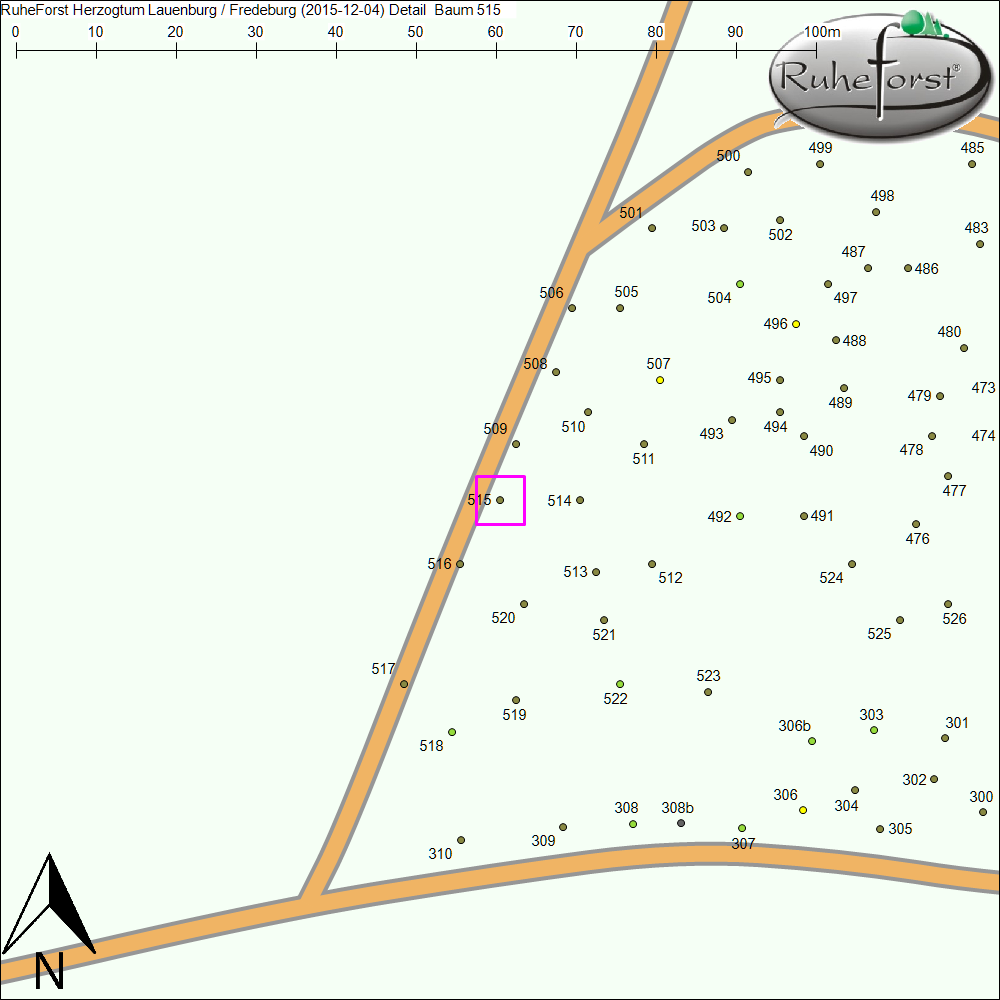 Detailkarte zu Baum 515