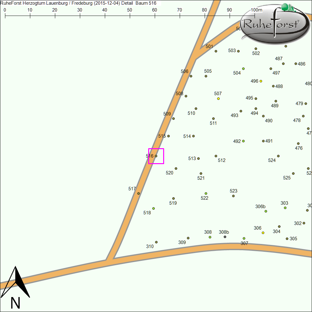 Detailkarte zu Baum 516