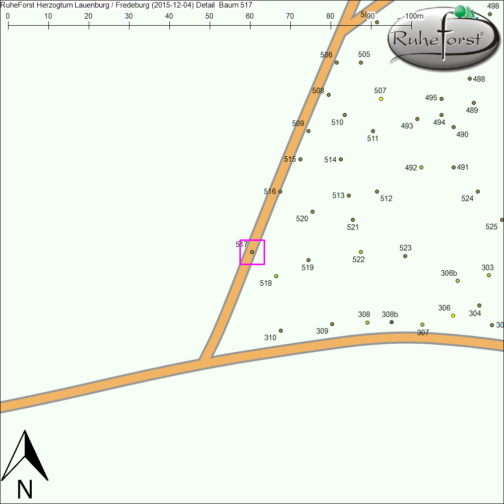 Detailkarte zu Baum 517