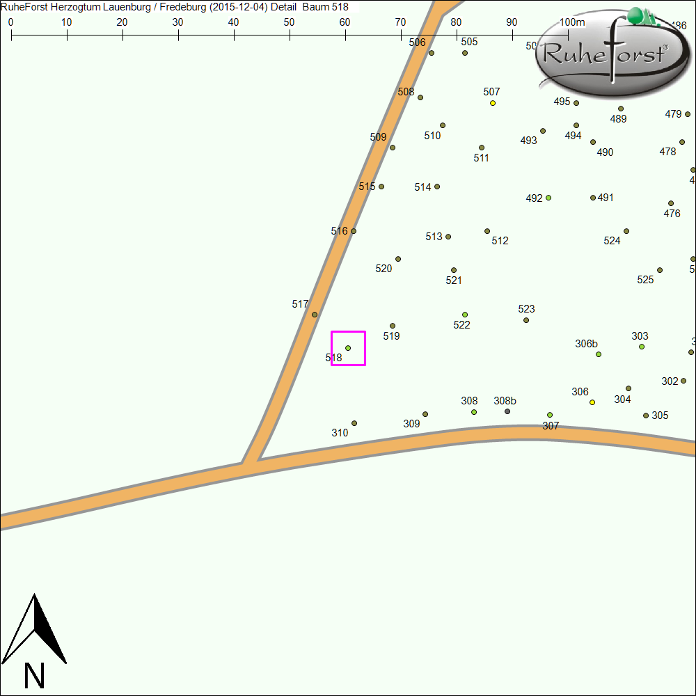 Detailkarte zu Baum 518