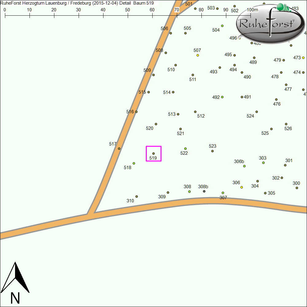 Detailkarte zu Baum 519