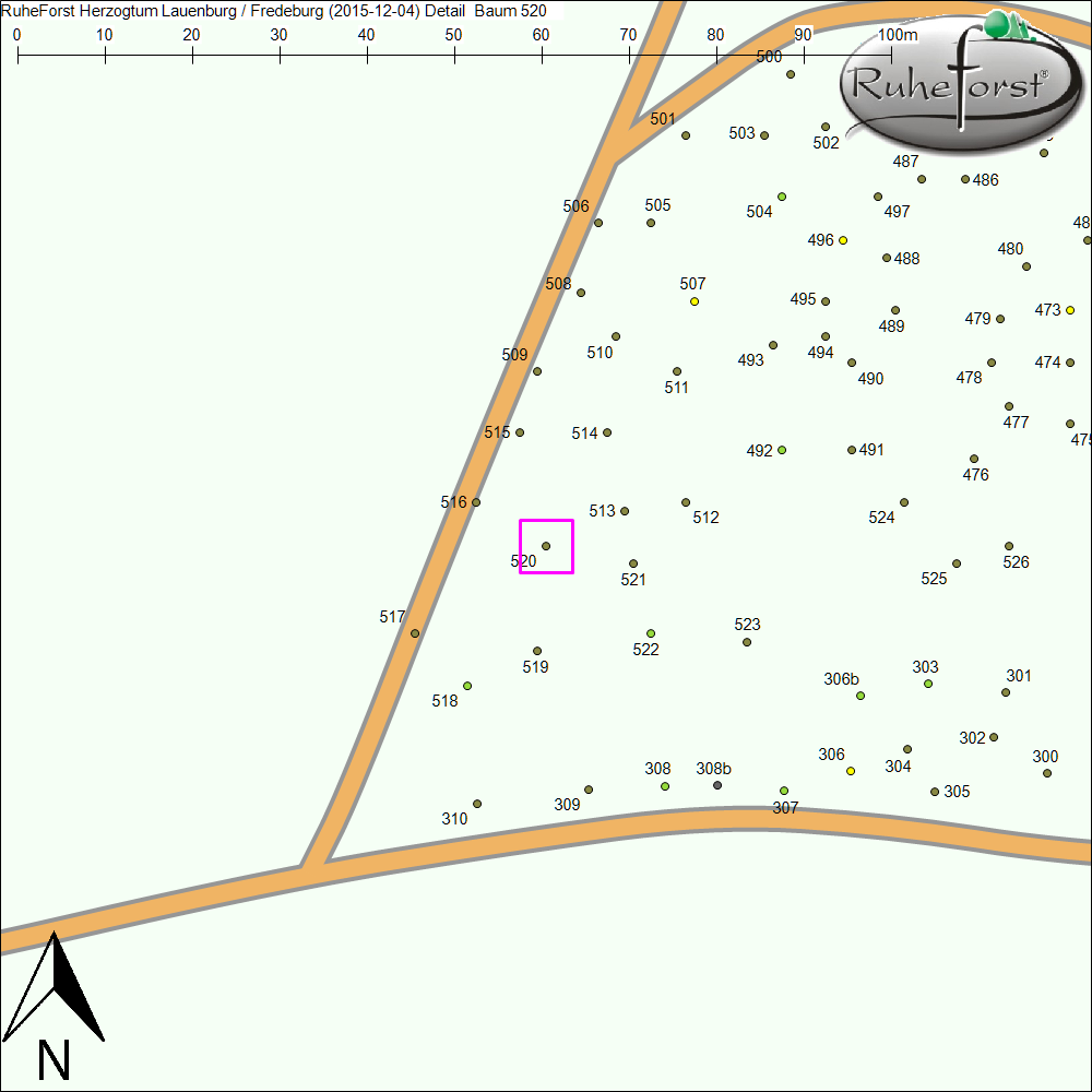 Detailkarte zu Baum 520