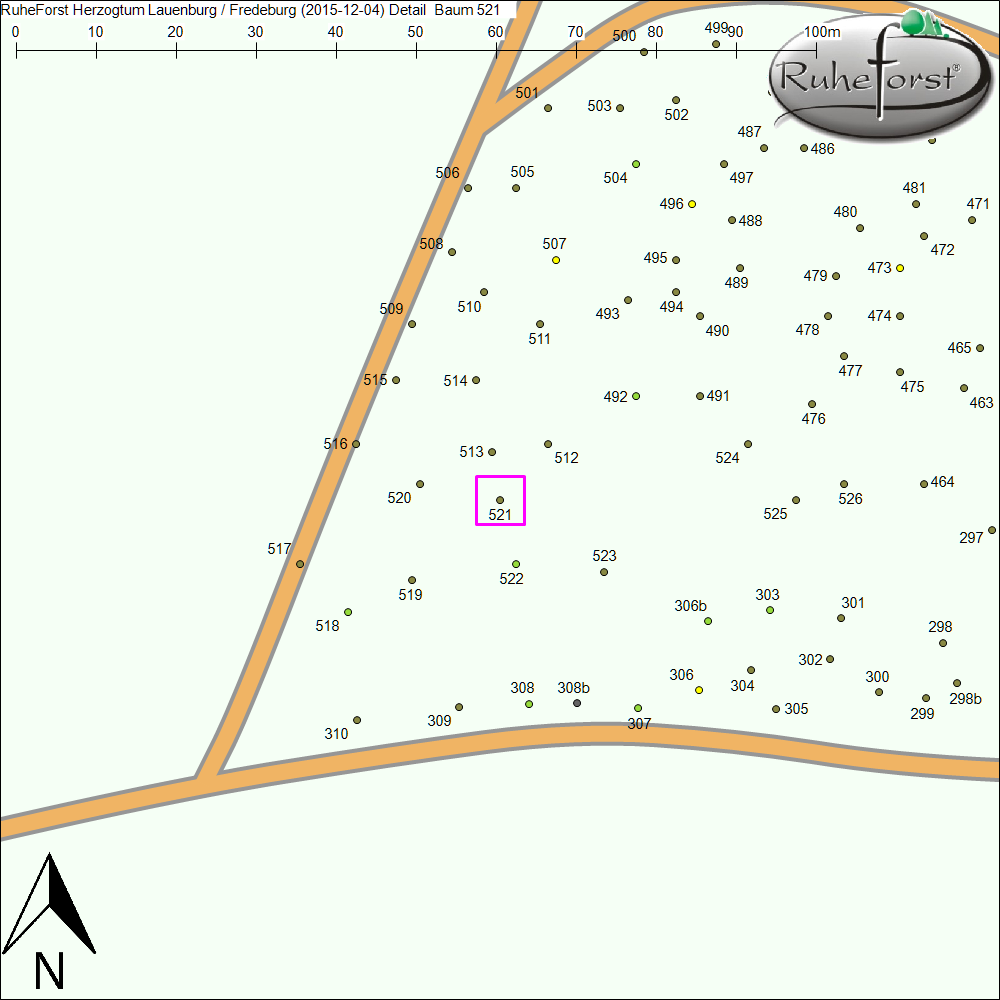 Detailkarte zu Baum 521