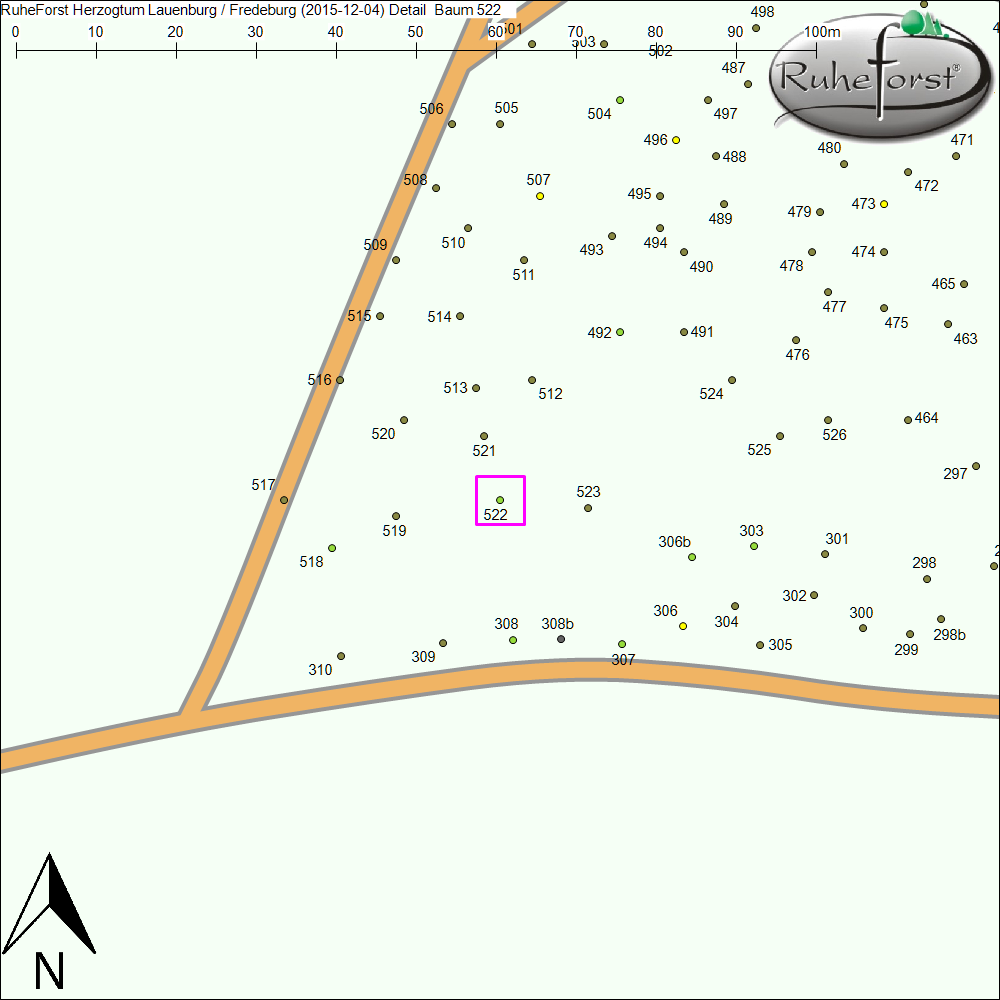 Detailkarte zu Baum 522