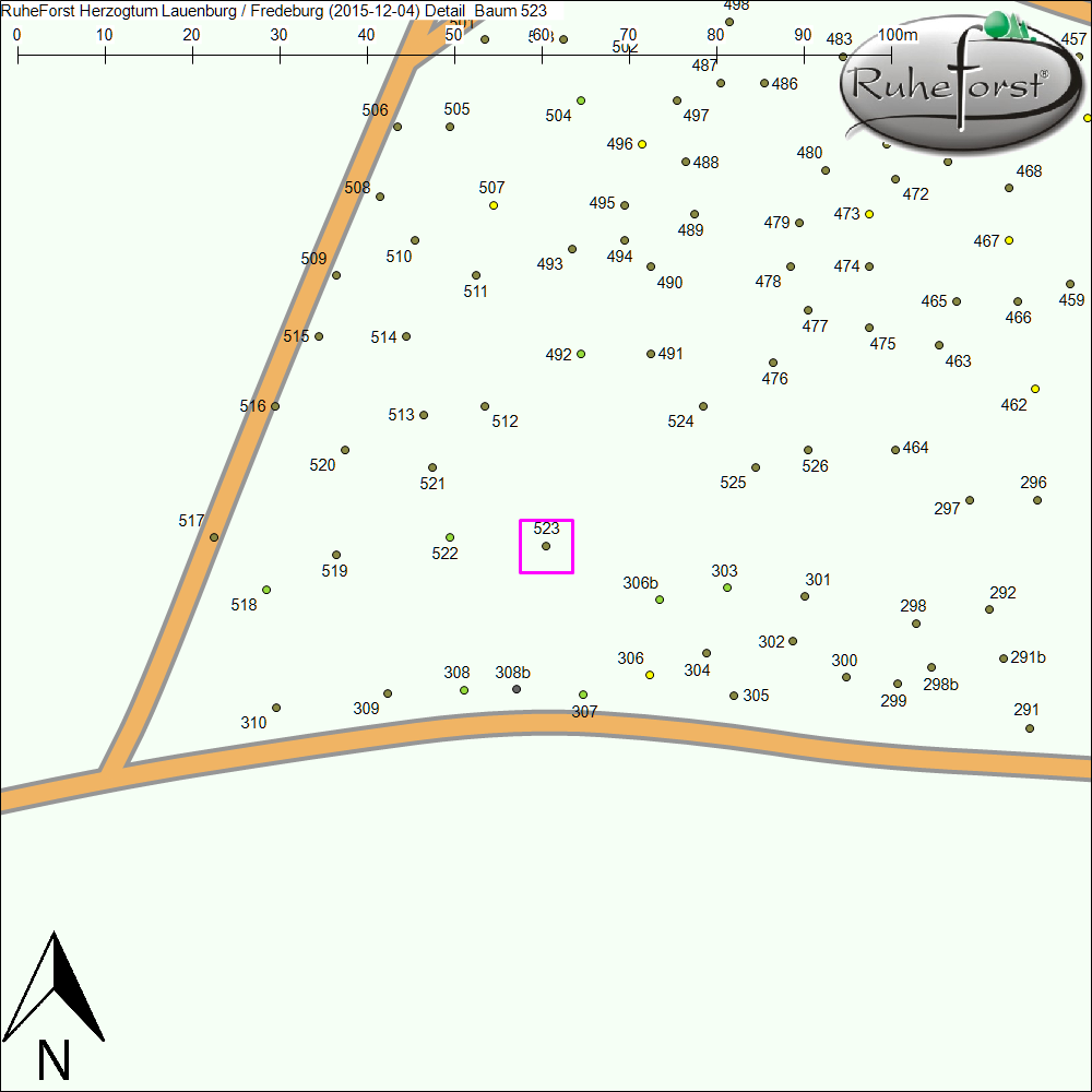Detailkarte zu Baum 523