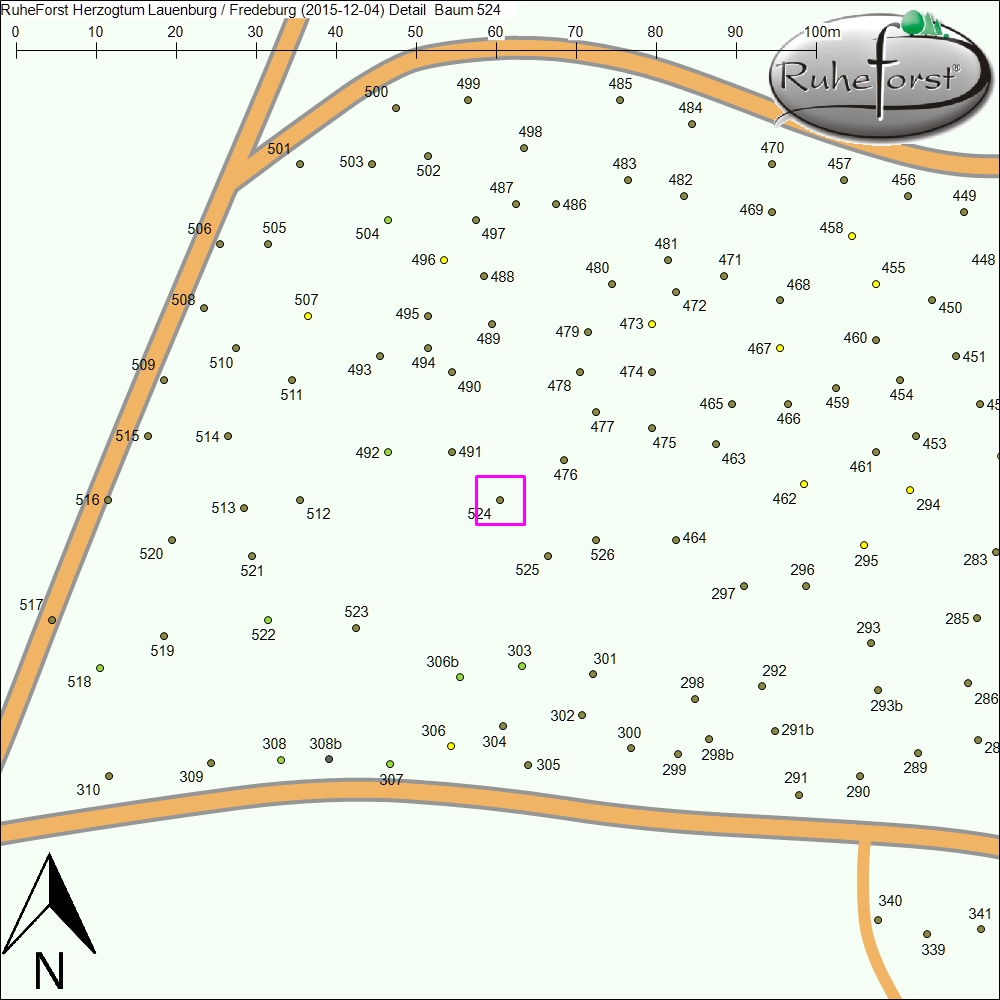 Detailkarte zu Baum 524