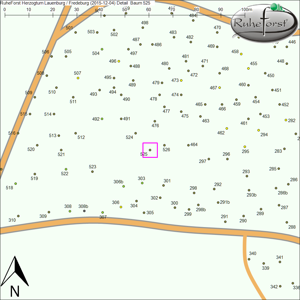 Detailkarte zu Baum 525